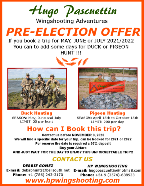 Pre Election Promo Flyer 2.png